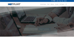 Desktop Screenshot of netflint.com