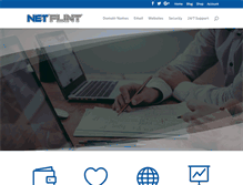 Tablet Screenshot of netflint.com